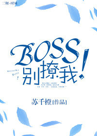 Boss别撩我！小说封面